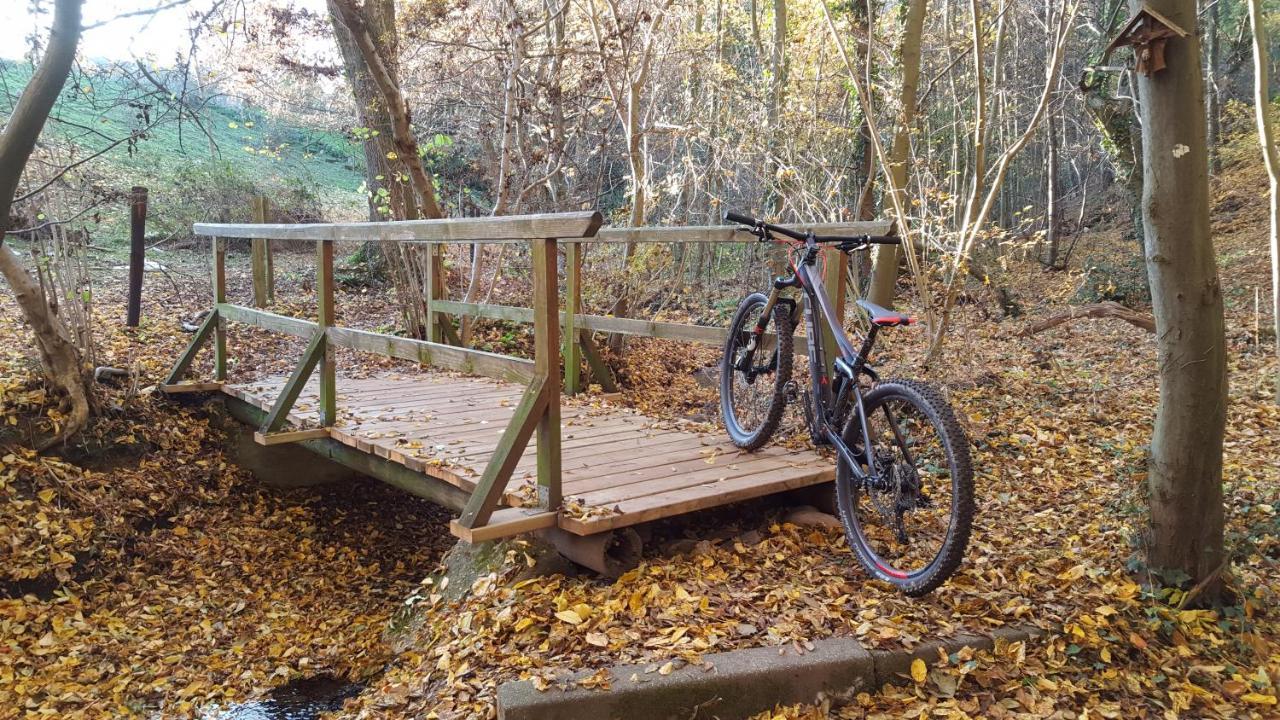 Ferienwohnung "In De Uehl" Hürtgenwald Zewnętrze zdjęcie
